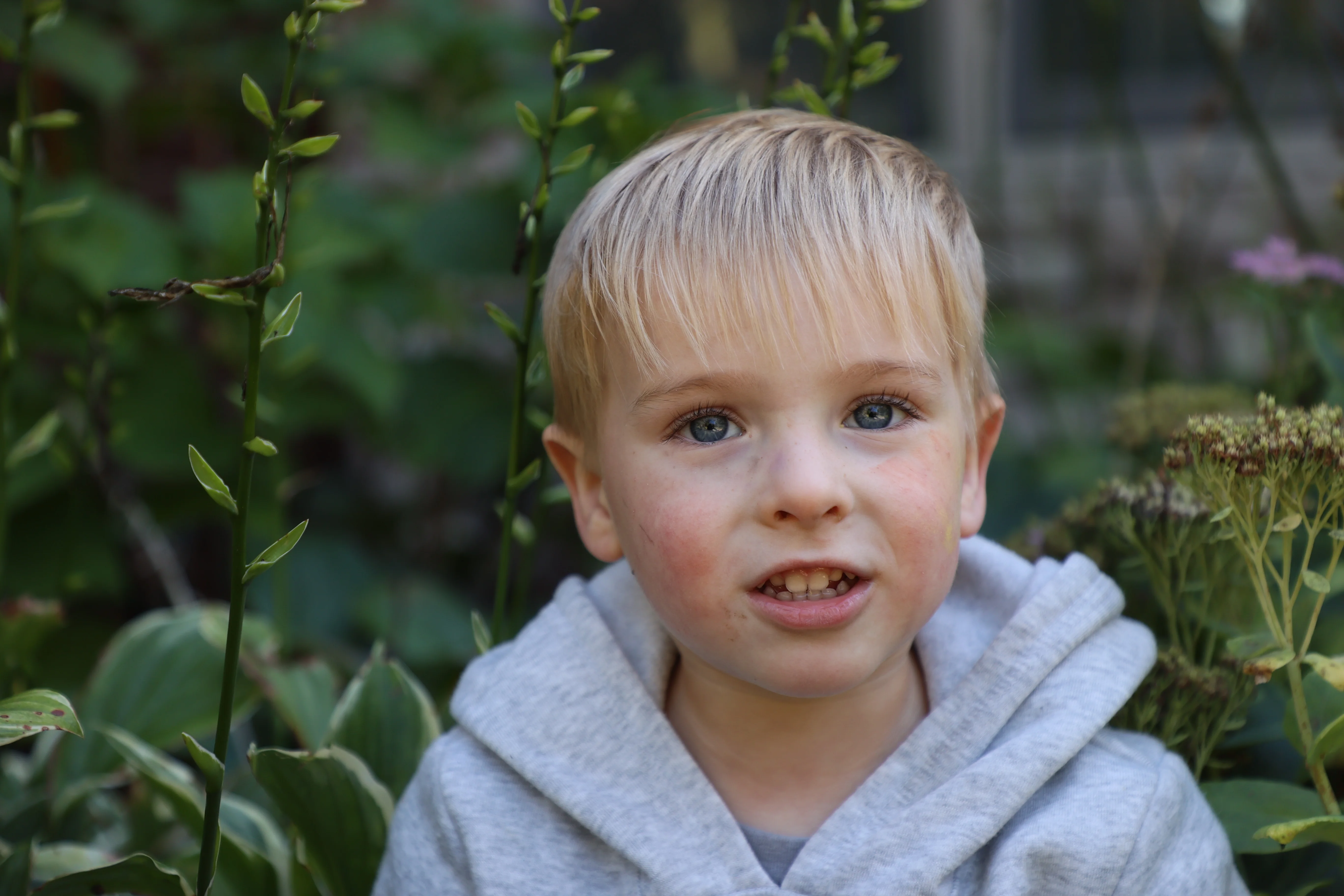 Leo with plant background